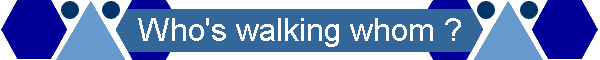 Walking the Dog Banner